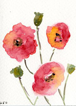 Poppies Shirley J Steiner Richland Center WI watercolor